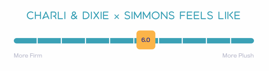 charli--dixie--simmons-feels-like Charli & Dixie × Simmons | Queen 10" - Ross Furniture Company